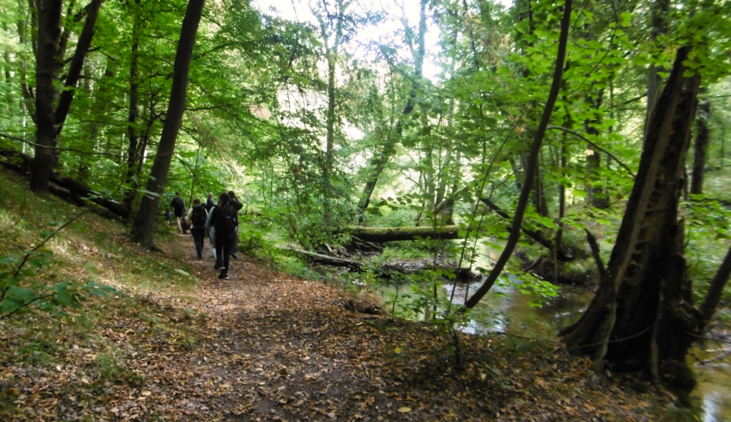 "Bannewitz läuft" Familienwandertag